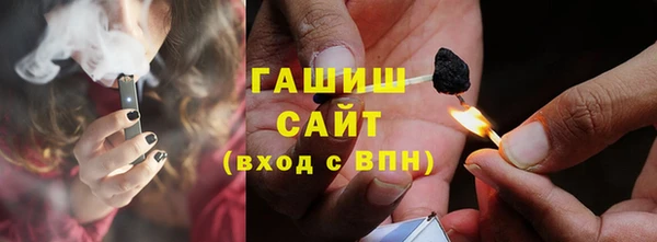 крисы Кулебаки