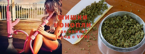 крисы Кулебаки