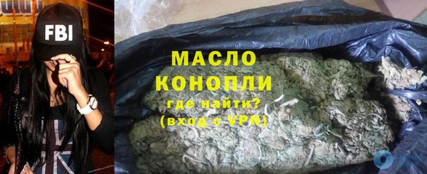 крисы Кулебаки