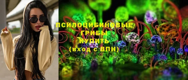крисы Кулебаки