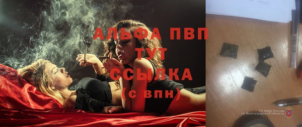 крисы Кулебаки