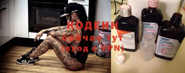 крисы Кулебаки