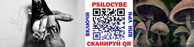 Галлюциногенные грибы Cubensis Купить где Подпорожье